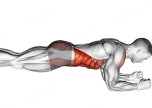 ورزش بعد از عمل لیپوماتیک از چه زمانی مجاز است؟