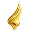 جراحی بینی